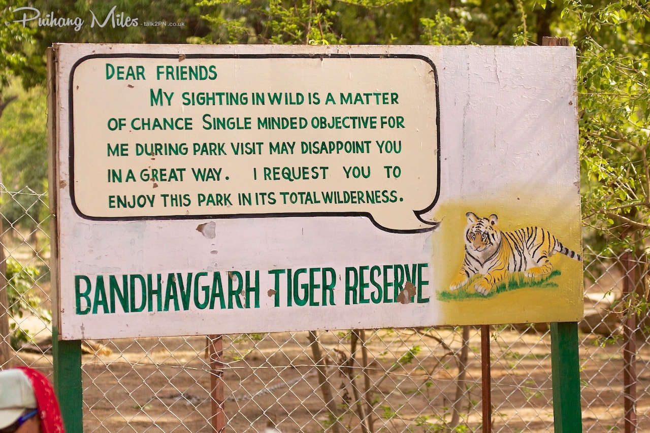 Read more about the article Bandhavgarh – we have arrived